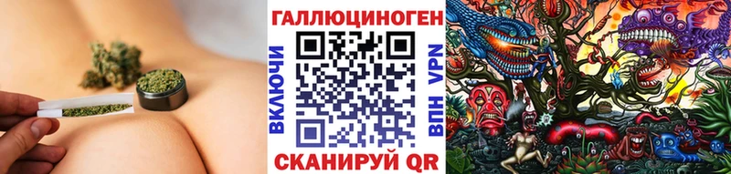 где можно купить наркотик  ссылка на мегу ссылка  Псилоцибиновые грибы мухоморы  Боготол 